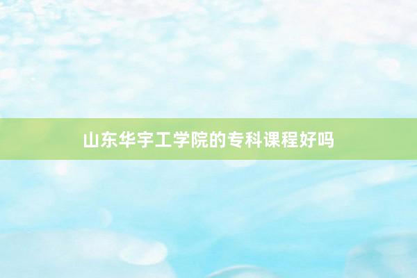 山东华宇工学院的专科课程好吗