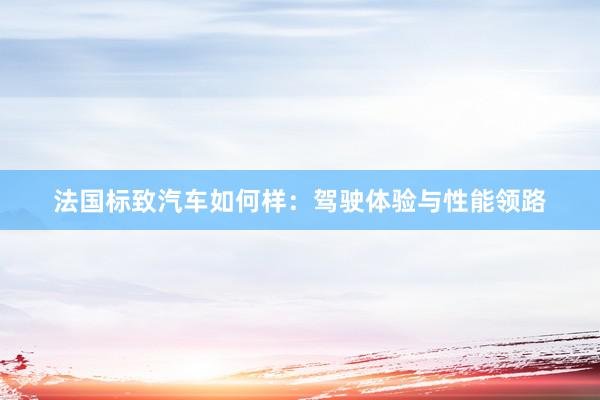 法国标致汽车如何样：驾驶体验与性能领路