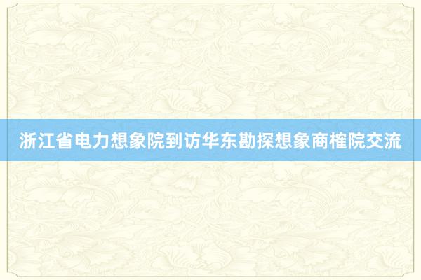 浙江省电力想象院到访华东勘探想象商榷院交流