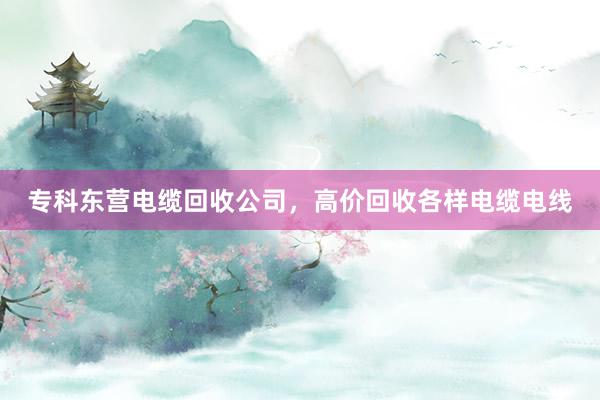 专科东营电缆回收公司，高价回收各样电缆电线