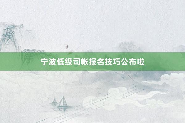 宁波低级司帐报名技巧公布啦