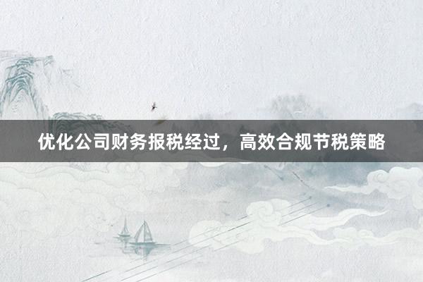 优化公司财务报税经过，高效合规节税策略